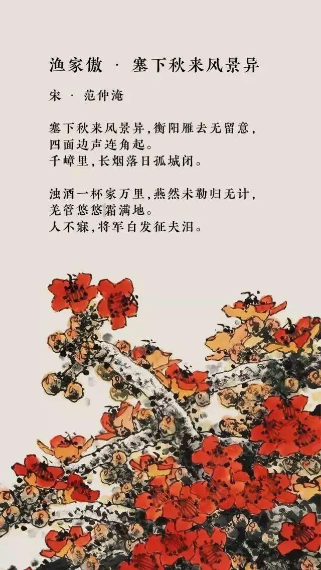 豆娃的冒险故事壹
